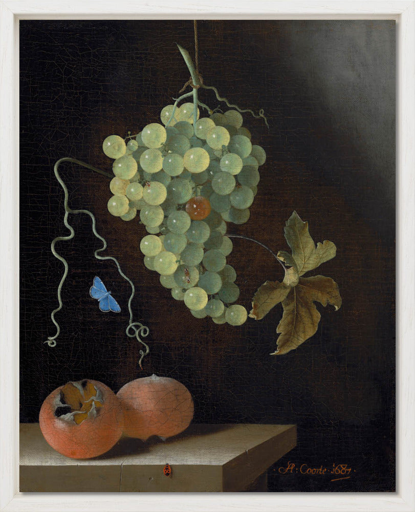 Adriaen Coorte - Stilleven met hangende druiventros, twee mispels en een blauwtje | Giclée op canvas