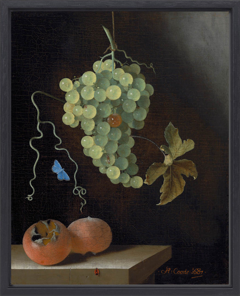 Adriaen Coorte - Stilleven met hangende druiventros, twee mispels en een blauwtje | Giclée op canvas
