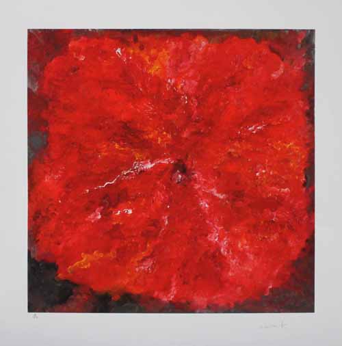 Armando - Die Blume rot VI | Giclée