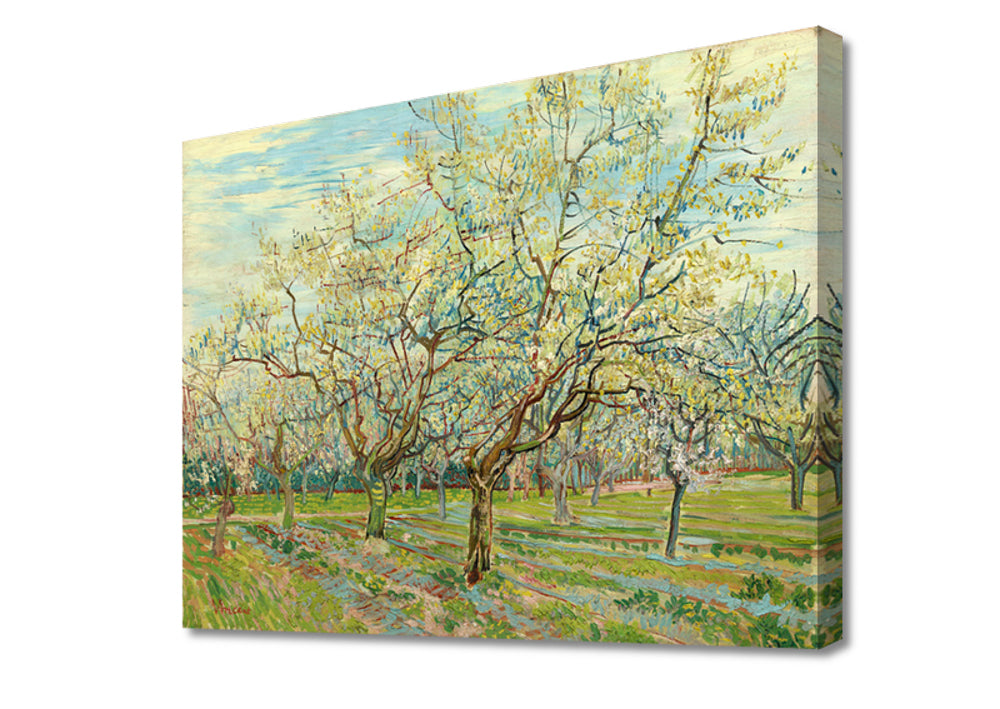 Vincent van Gogh - De witte boomgaard | Giclée op canvas