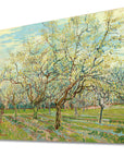 Vincent van Gogh - De witte boomgaard | Giclée op canvas